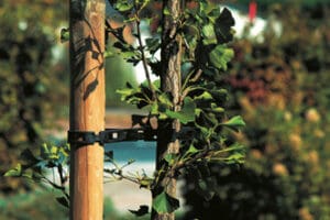 Ontschorste palen vuren - diameter 7cm