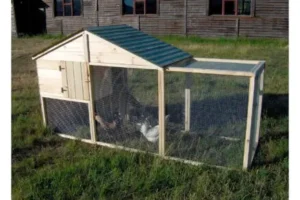 Kippenhok met grote ren