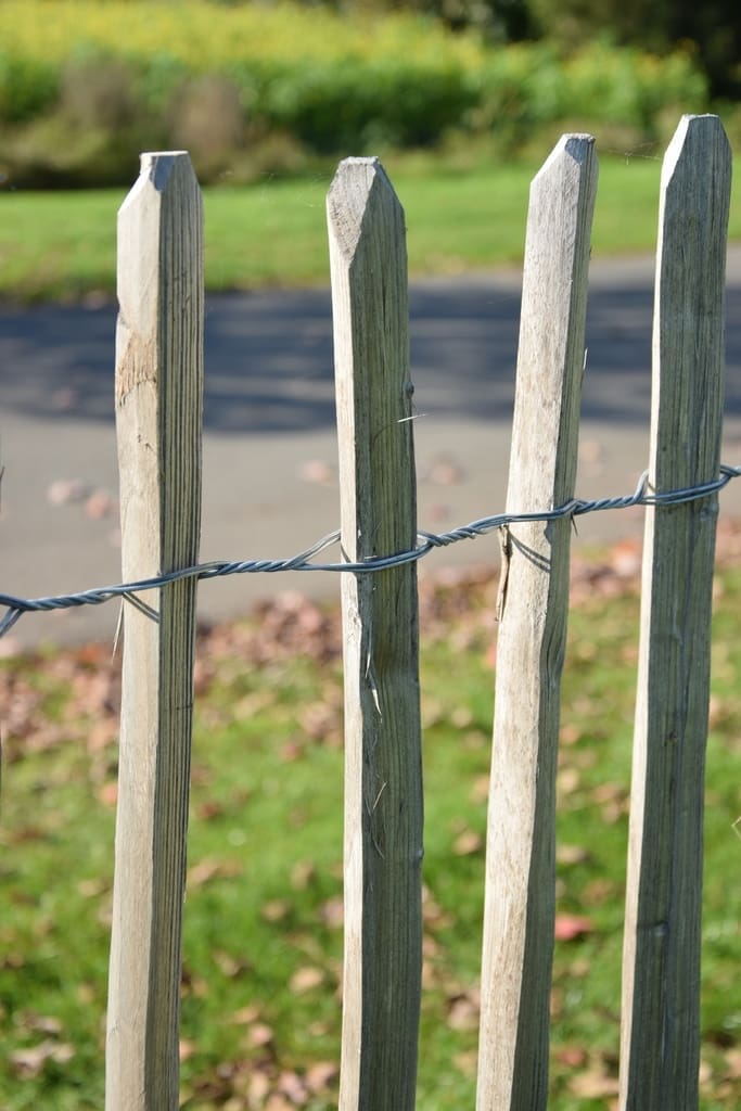 Kastanjehouten omheining - 5 à 5,5cm tussenafstand - Afbeelding 3