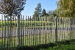 Kastanjehouten omheining - 5 à 5,5cm tussenafstand