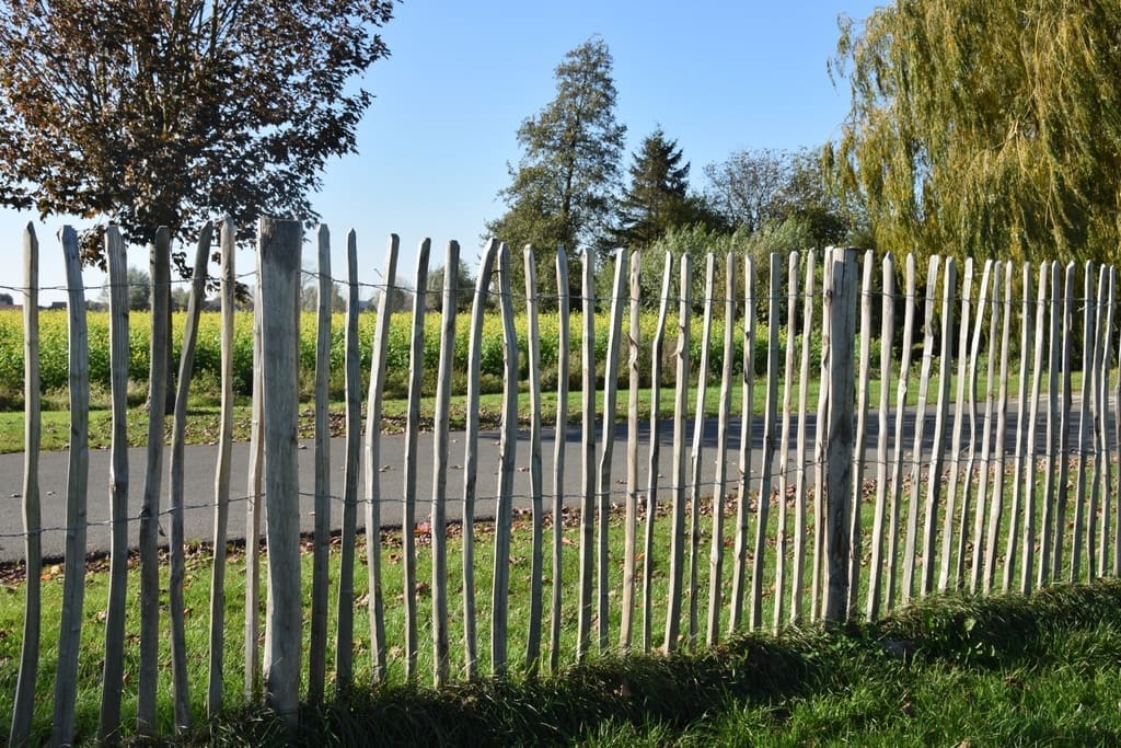 Kastanjehouten omheining - 5 à 5,5cm tussenafstand