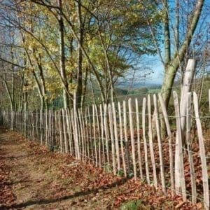 Kastanjehouten omheining - 7,5 à 8cm tussenafstand
