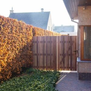 vario tuinscherm afrormosia