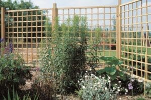 ZWAAR KLIMPLANTENSCHERM