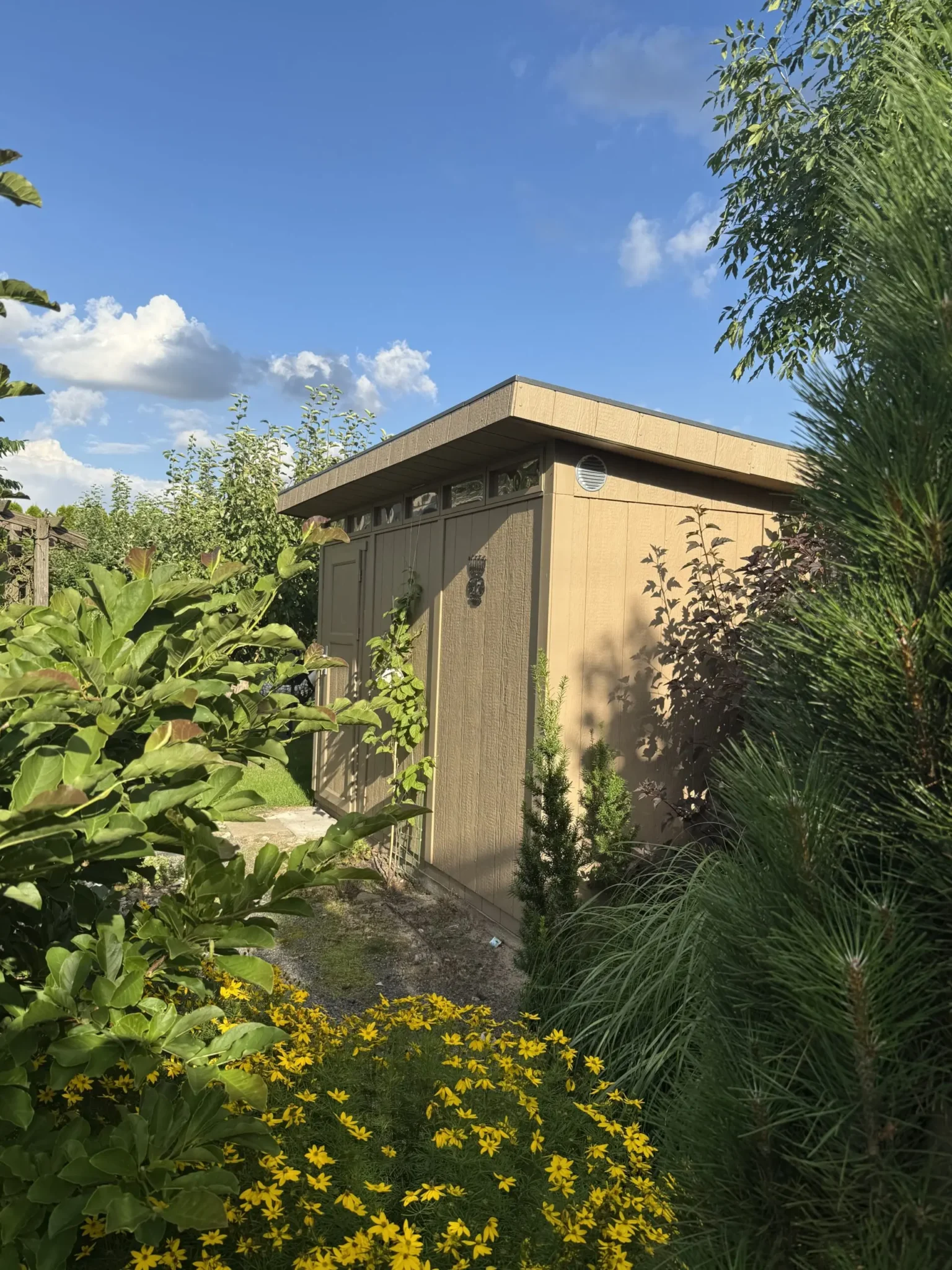 LP® SmartSide® Gartenhaus M904 – 236 × 368 cm – 9 m² – Bild 3