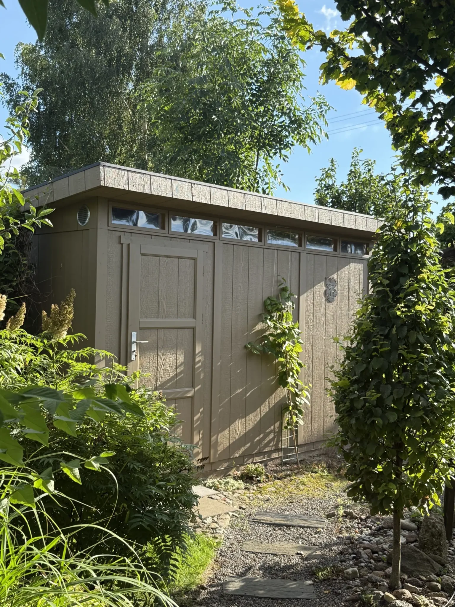 LP® SmartSide® Gartenhaus M904 – 236 × 368 cm – 9 m² – Bild 2